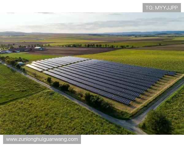 尊龙凯官网未来发展规划及创新方向展望引领行业新趋势