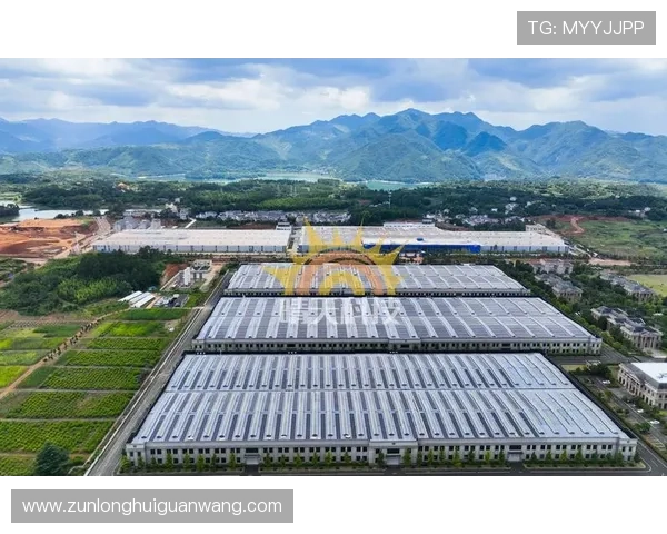 尊龙凯时共赢共欢乐:在合作中实现共赢共享共创企业与合作伙伴的双赢局面 尊龙凯时共赢共欢乐:在合作中实现共赢共享共创企业与合作伙伴的双赢局面