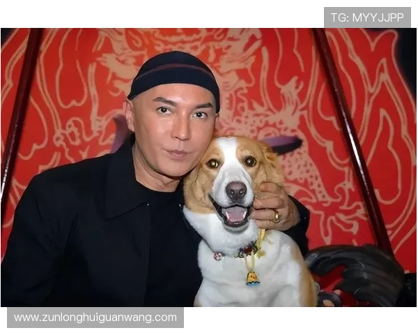 探索尊龙官网的多元化娱乐体验与平台特色 探索尊龙官网的多元化娱乐体验与平台特色