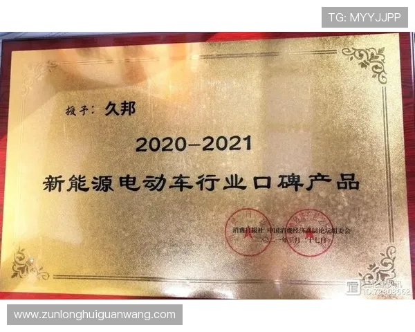 z6尊龙集团企业文化与社会责任实践，打造行业内具有影响力的品牌形象